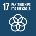 Rafforzare i mezzi di attuazione e rinnovare il partenariato mondiale per lo sviluppo sostenibile